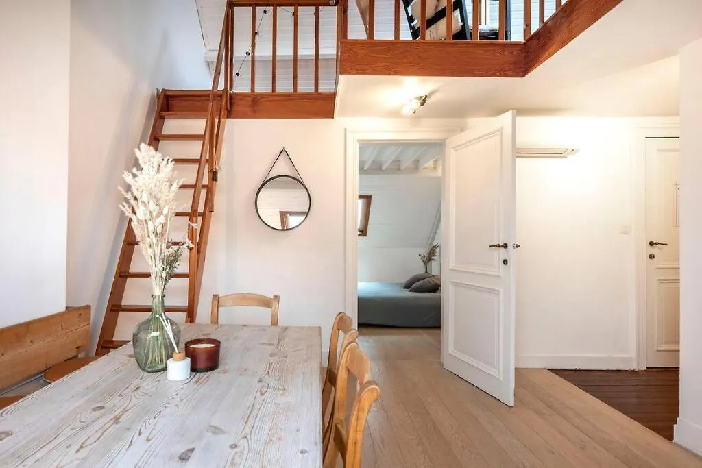 Cosy Penthouse In City Center Apartment Antwerp Belgium